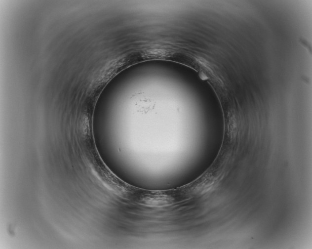 X0000102250459200807251326