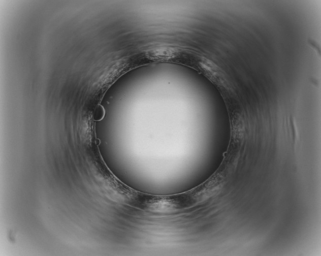 X0000102250460200807251326