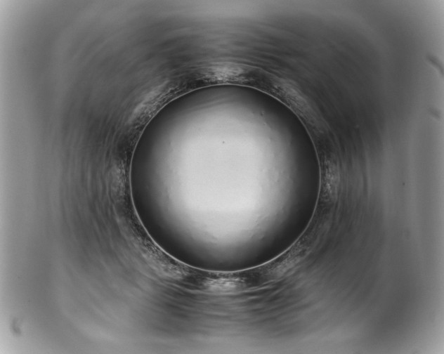 X0000102250461200807251326
