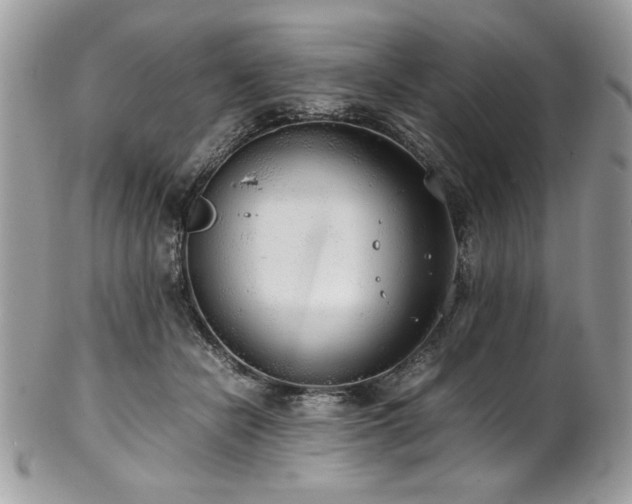 X0000102250462200807251326
