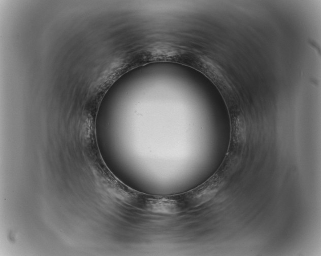 X0000102250463200807251326