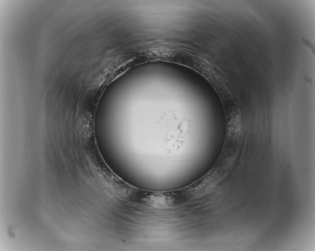 X0000102250464200807251326