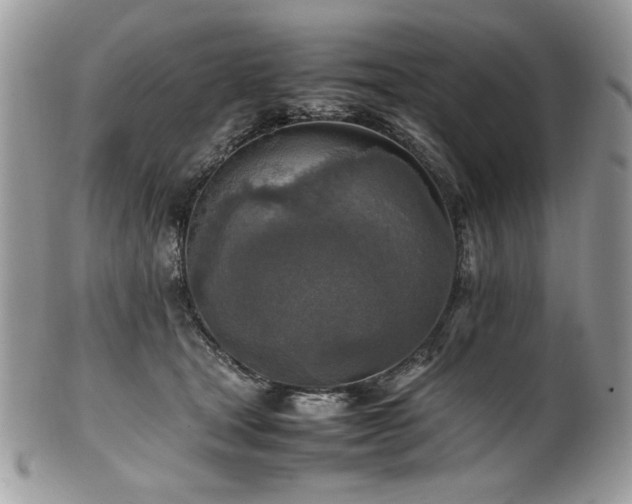 X0000102250465200807251326