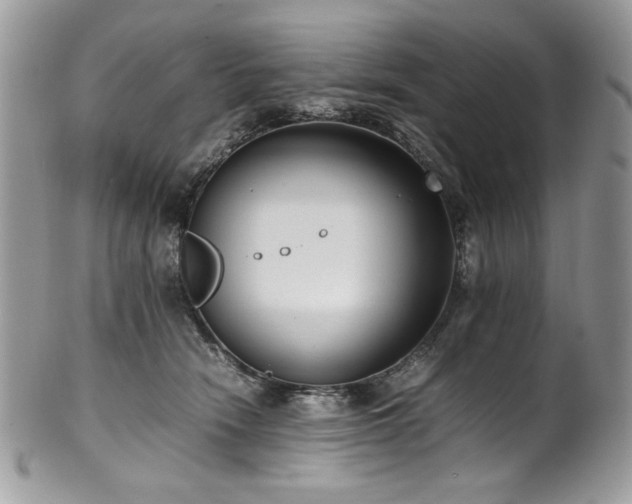 X0000102250466200807251326