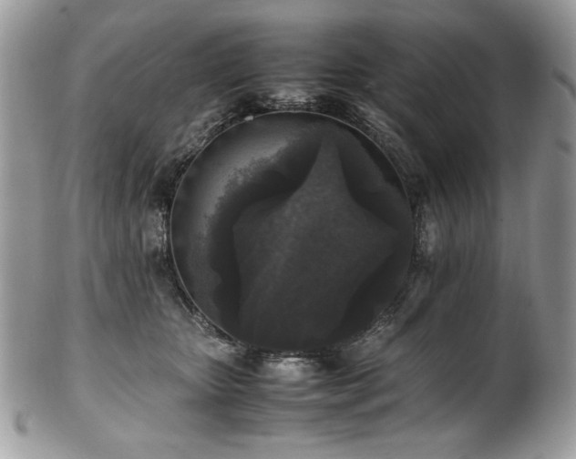 X0000102250467200807251326