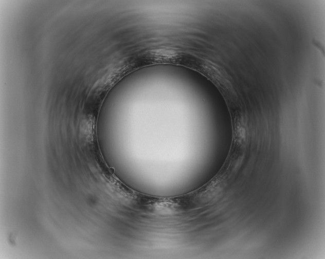 X0000102250468200807251326