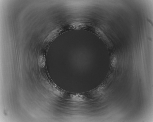 X0000102250471200807251326