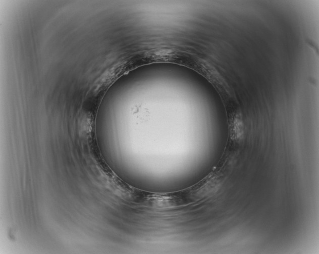 X0000102250472200807251326