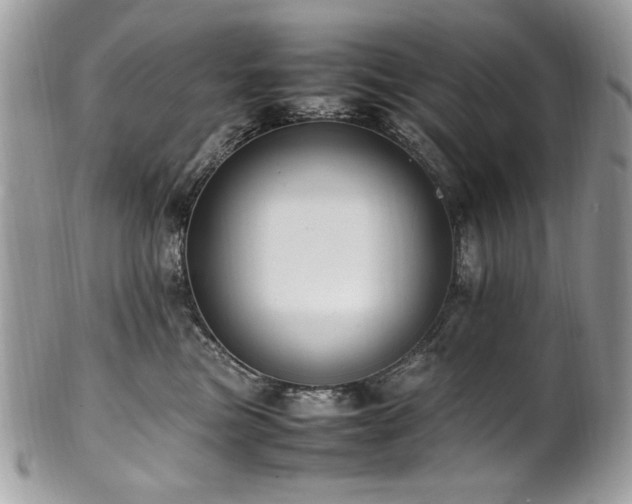X0000102250473200807251326