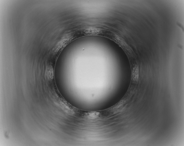 X0000102250474200807251326