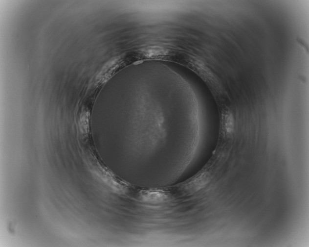 X0000102250475200807251326