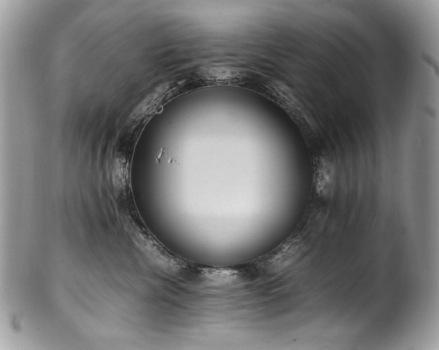X0000102250476200807251326