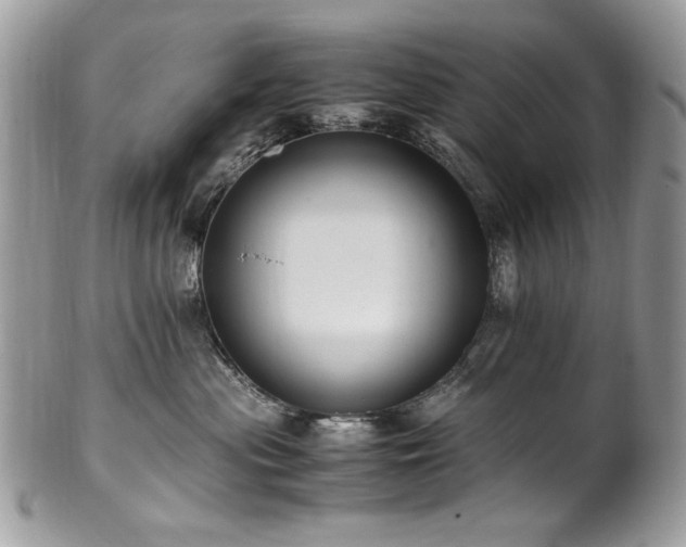 X0000102250477200807251326