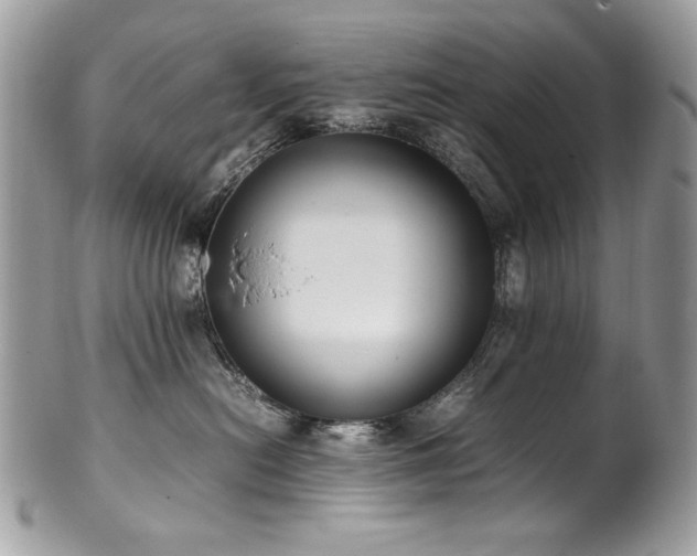 X0000102250478200807251326