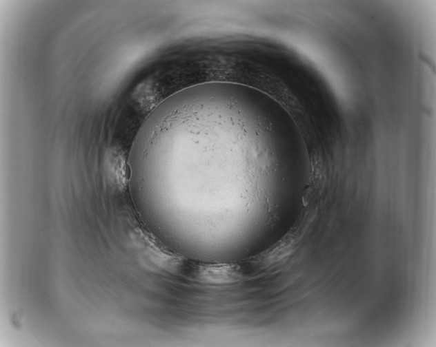 X0000102250479200807251326