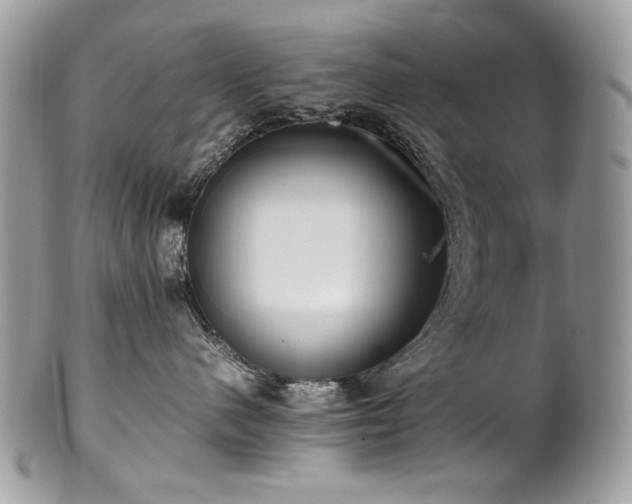 X0000102250480200807251326