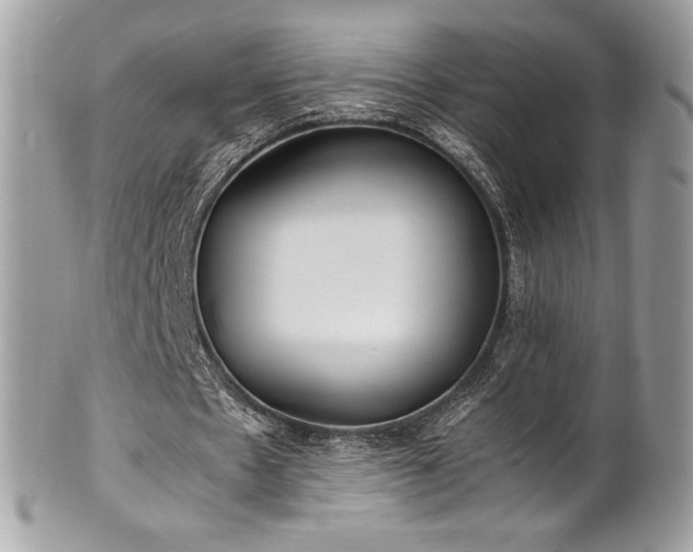 X0000102250481200807251325