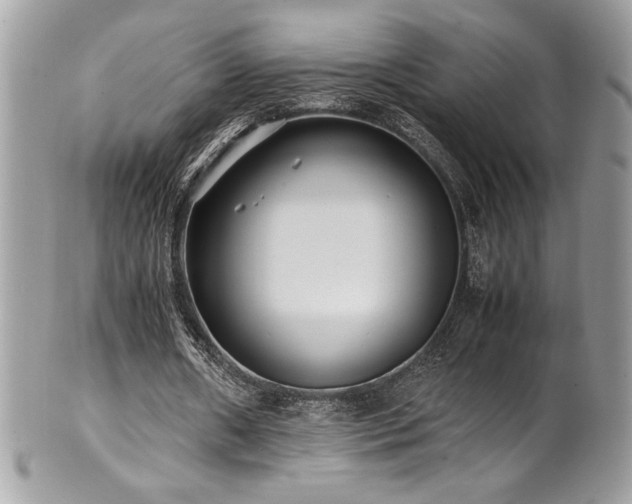 X0000102250482200807251325
