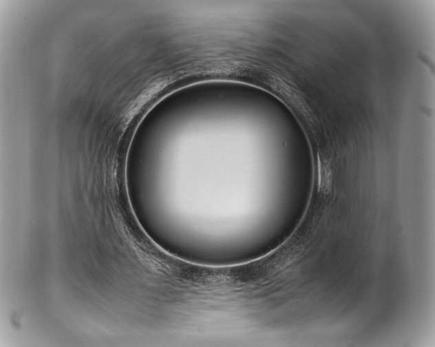 X0000102250483200807251325