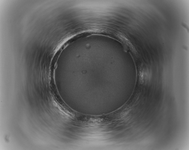 X0000102250484200807251325