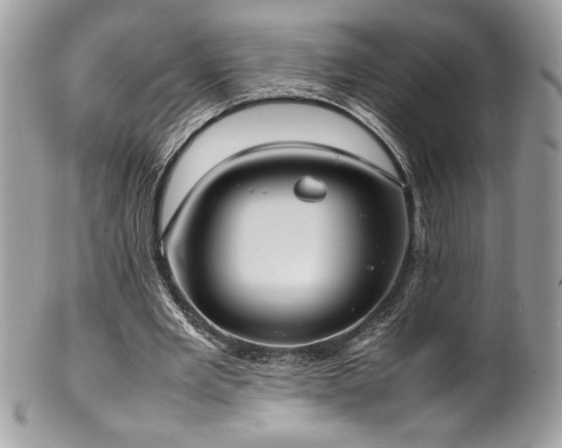 X0000102250485200807251325