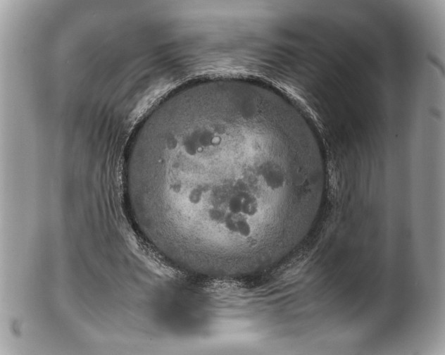 X0000102250487200807251325
