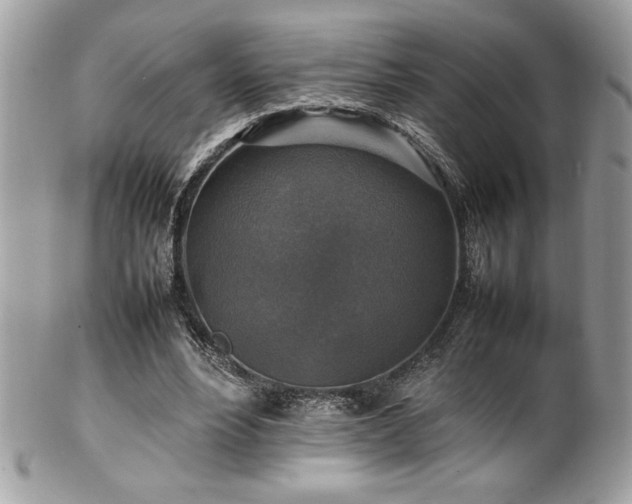 X0000102250488200807251325