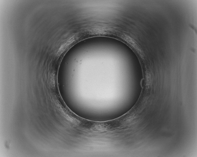 X0000102250489200807251325