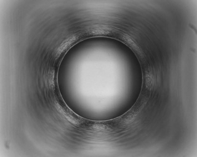 X0000102250490200807251325
