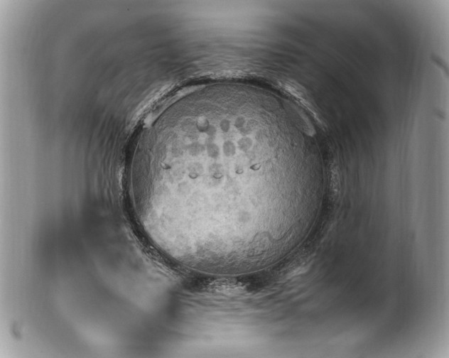 X0000102250491200807251325