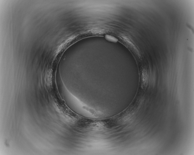 X0000102250492200807251325