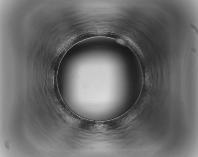X0000102250493200807251325