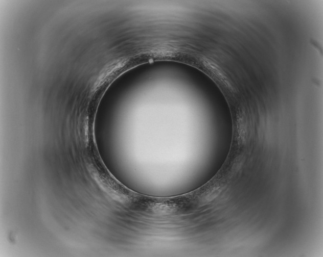 X0000102250494200807251325
