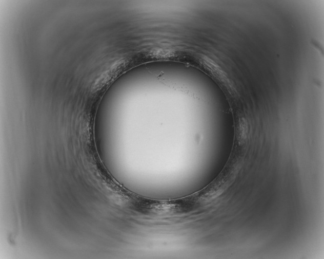 X0000102250497200807251325