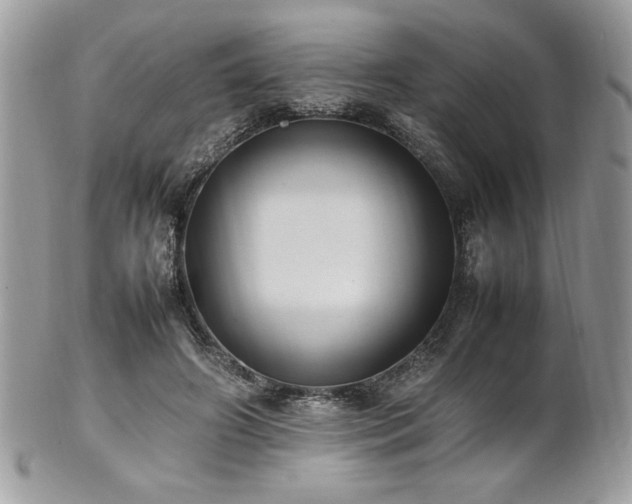 X0000102250498200807251325