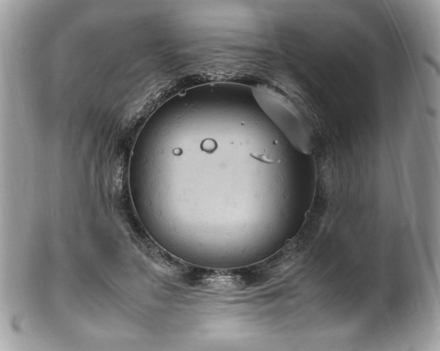 X0000102250499200807251325