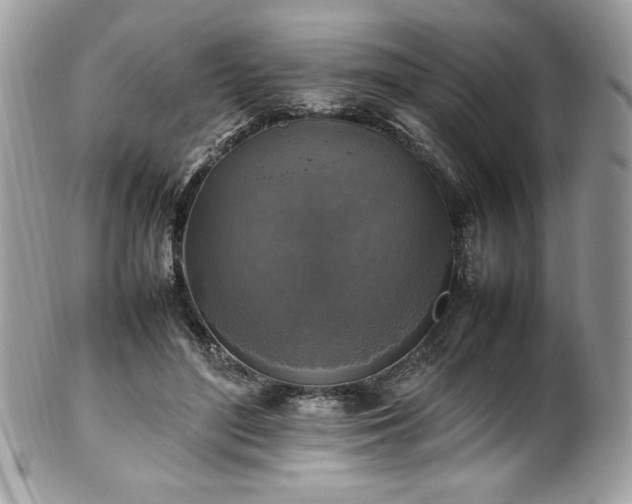 X0000102250500200807251325