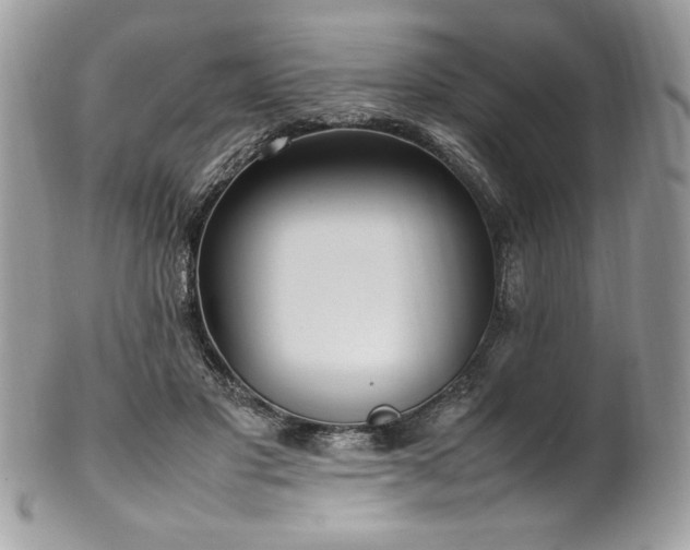 X0000102250501200807251325