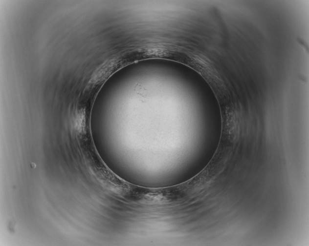X0000102250502200807251325