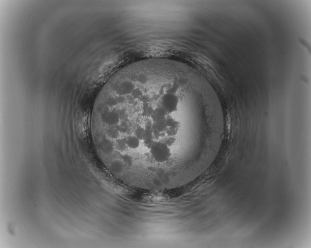 X0000102250503200807251325