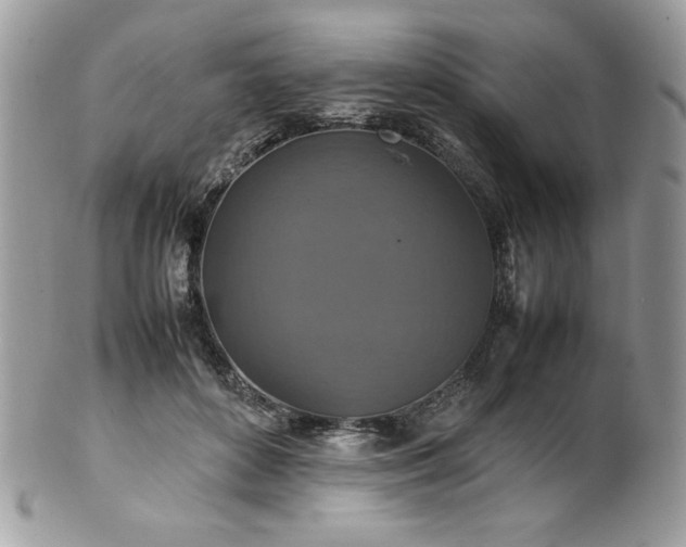 X0000102250504200807251325