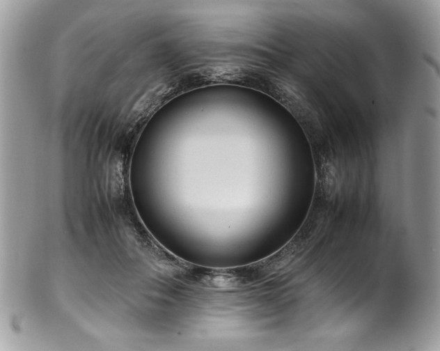 X0000102250506200807251325