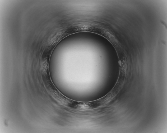 X0000102250509200807251325