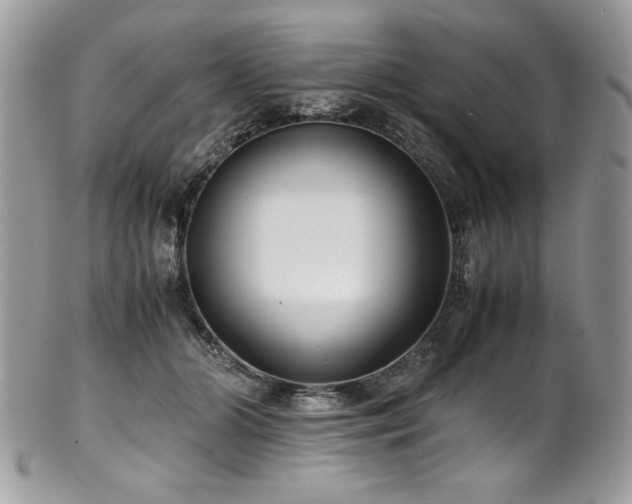 X0000102250510200807251325