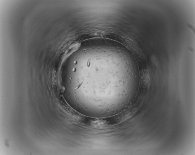 X0000102250511200807251325
