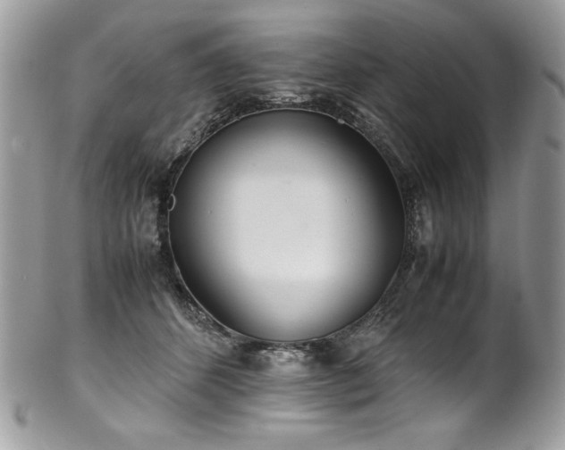 X0000102250512200807251325