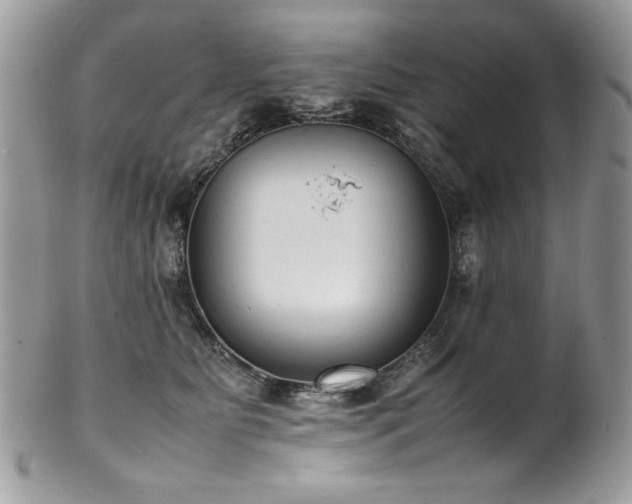 X0000102250515200807251325
