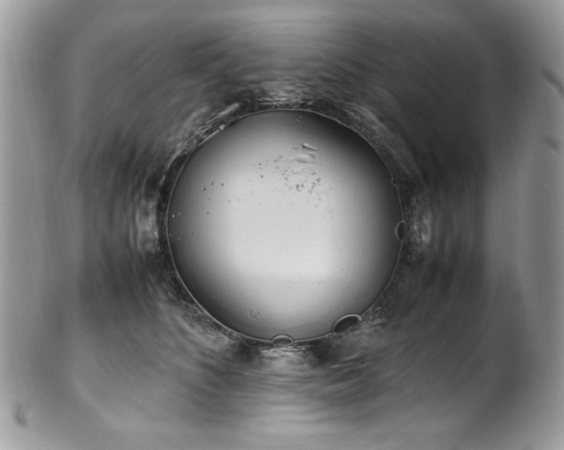 X0000102250516200807251325