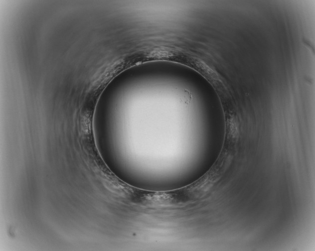 X0000102250517200807251325