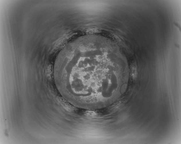 X0000102250519200807251325